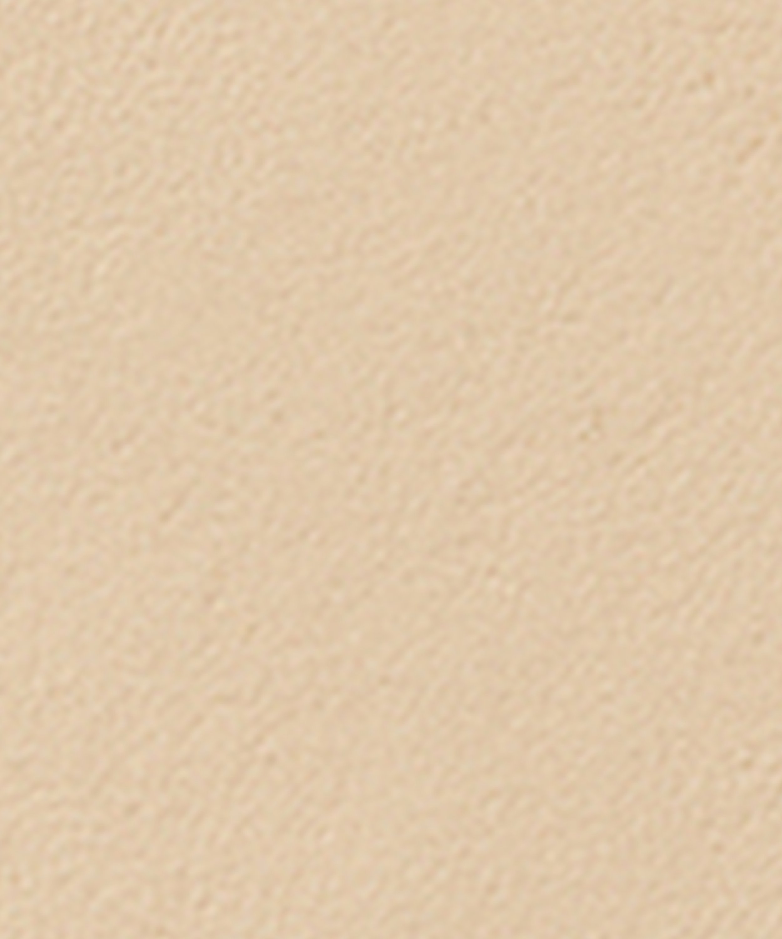 Vanish Airbrush Pressed Powder 10.5g